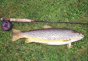Ken's Sanday fish (photograph by Jim Adams)